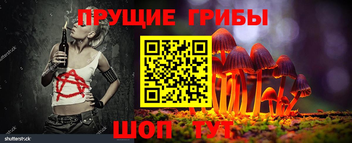Гудермес  Псилоцибиновые грибы Magic Shrooms  Вход с VPN 